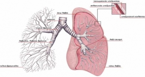 Ημερίδα Στο «Χατζηγιάννειο» Για Την «Πρόληψη Στα Νοσήματα Των Πνευμόνων»