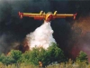 Πάλι Φωτιά Στο Νομό Λάρισας! Σηκώθηκαν Πυροσβεστικά Αεροπλάνα Και Ελικόπτερο - Υπό Μερικό Έλεγχο Η Φωτιά Στο Ν. Περιβόλι
