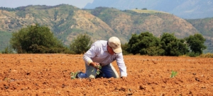 Η Μεγάλη Απάτη Με Το ΦΠΑ - Αγρότης Έβαλε Στην Τσέπη 184.000.000€