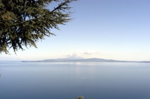 Πωλείται Ελληνικό Νησί Στη Χαλκιδική- Δείτε Τιμή Εκκίνησης