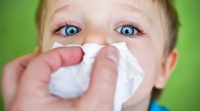Λιγότερες Αλλεργίες Για Τα Παιδιά Που Παίζουν Με Ζώα Σε Αγροκτήματα