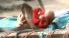 Κόμπρες Προστατεύουν Μωρό - Αν Δεν Το Πιστεύετε Δείτε Το Βίντεο